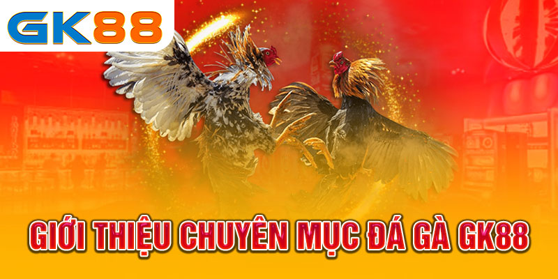 Ưu điểm của đá gà GK88